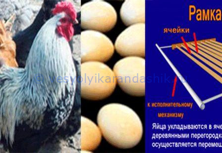 Дела домашние